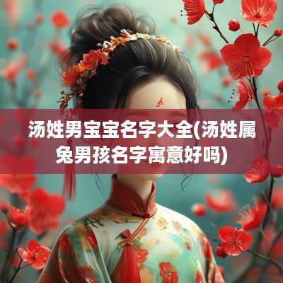 汤姓男宝宝名字大全(汤姓属兔男孩名字寓意好吗)