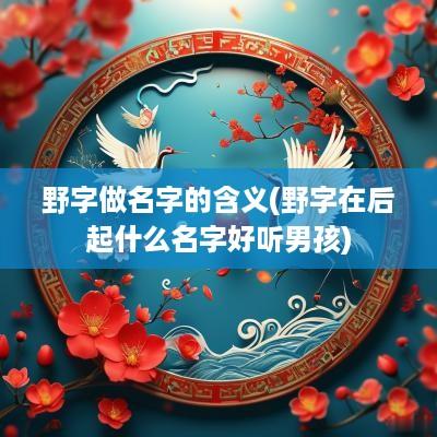 野字做名字的含义(野字在后起什么名字好听男孩)