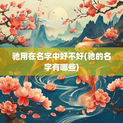驰用在名字中好不好(驰的名字有哪些)