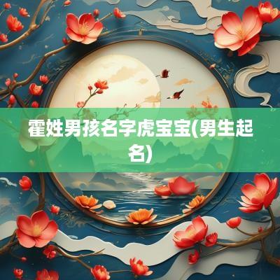 霍姓男孩名字虎宝宝(男生起名)
