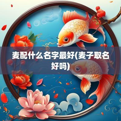 麦配什么名字最好(麦子取名好吗)