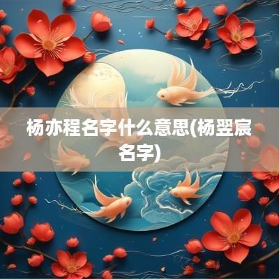 杨亦程名字什么意思(杨翌宸名字)