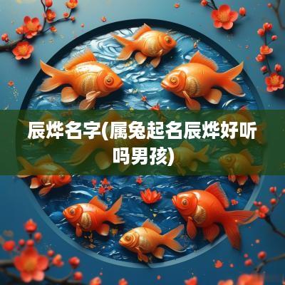 辰烨名字(属兔起名辰烨好听吗男孩)