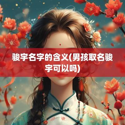 骏宇名字的含义(男孩取名骏宇可以吗)