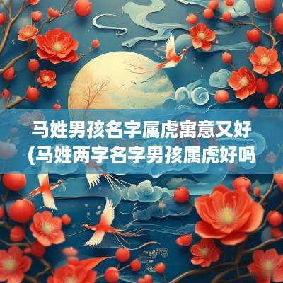 马姓男孩名字属虎寓意又好(马姓两字名字男孩属虎好吗还是女孩)