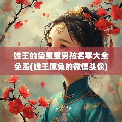 姓王的兔宝宝男孩名字大全免费(姓王属兔的微信头像)