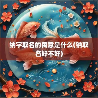 纳字取名的寓意是什么(钠取名好不好)