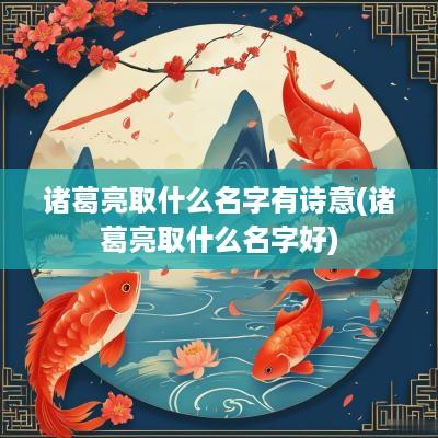 诸葛亮取什么名字有诗意(诸葛亮取什么名字好)