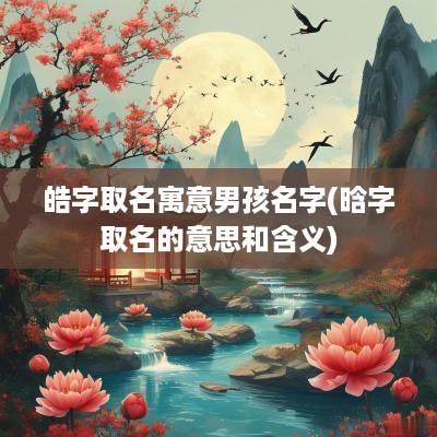 皓字取名寓意男孩名字(晗字取名的意思和含义)
