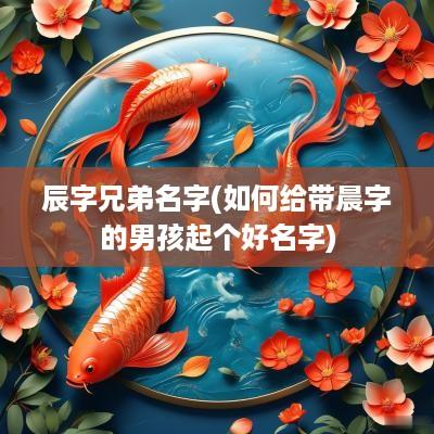 辰字兄弟名字(如何给带晨字的男孩起个好名字)