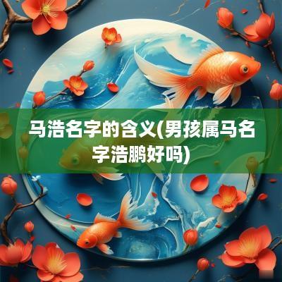 马浩名字的含义(男孩属马名字浩鹏好吗)