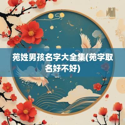 苑姓男孩名字大全集(苑字取名好不好)