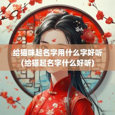 给猫咪起名字用什么字好听(给猫起名字什么好听)