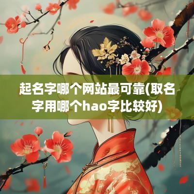 起名字哪个网站最可靠(取名字用哪个hao字比较好)