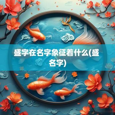 盛字在名字象征着什么(盛 名字)