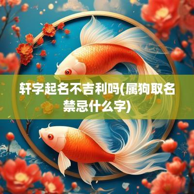 轩字起名不吉利吗(属狗取名禁忌什么字)