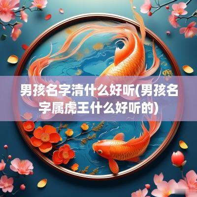 男孩名字清什么好听(男孩名字属虎王什么好听的)