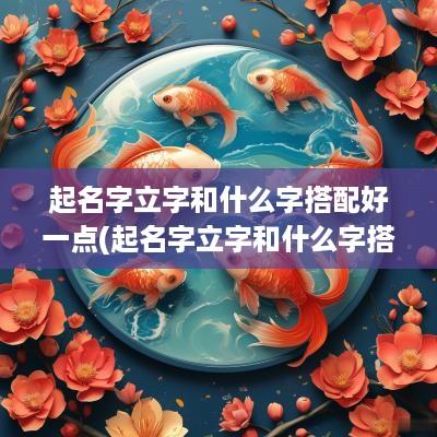 起名字立字和什么字搭配好一点(起名字立字和什么字搭配好呢)