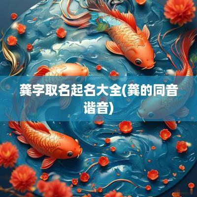 龚字取名起名大全(龚的同音谐音)