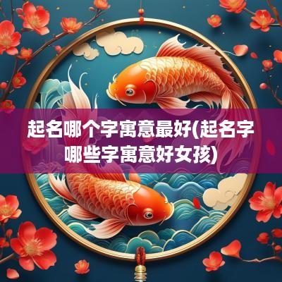 起名哪个字寓意最好(起名字哪些字寓意好女孩)