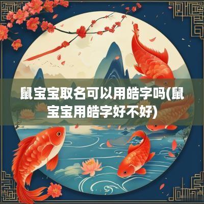 鼠宝宝取名可以用皓字吗(鼠宝宝用皓字好不好)