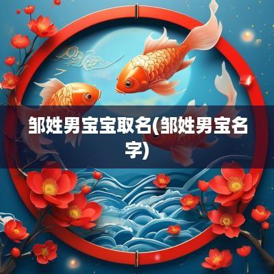 邹姓男宝宝取名(邹姓男宝名字)