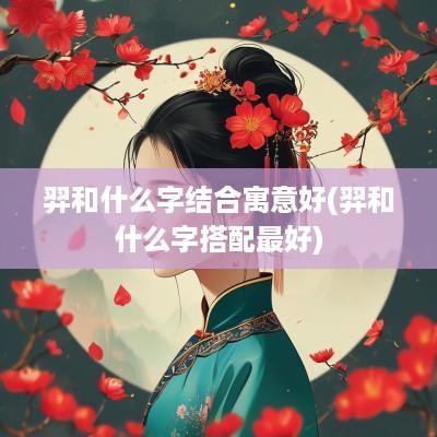 羿和什么字结合寓意好(羿和什么字搭配最好)