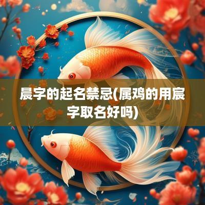 晨字的起名禁忌(属鸡的用宸字取名好吗)