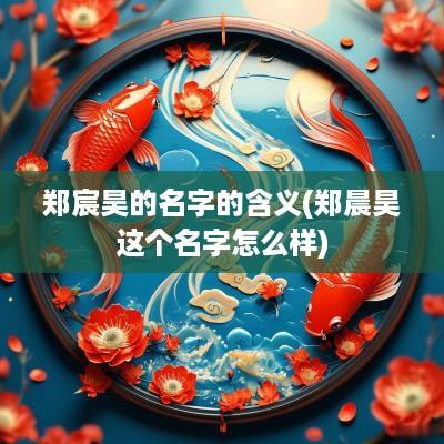 郑宸昊的名字的含义(郑晨昊这个名字怎么样)