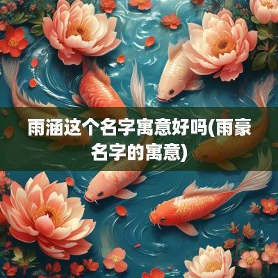 雨涵这个名字寓意好吗(雨豪名字的寓意)
