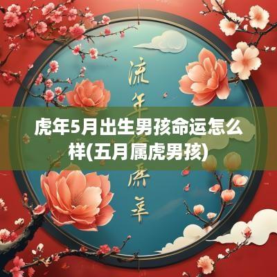 蛇年5月出生男孩命运怎么样(五月属虎男孩)