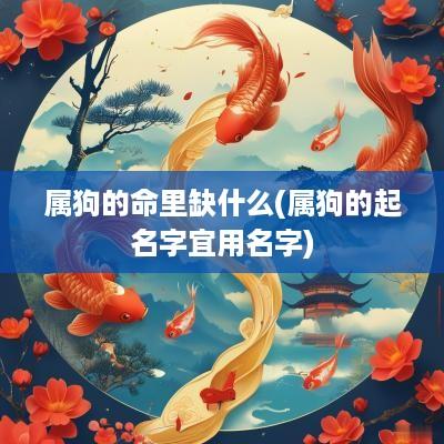 属狗的命里缺什么(属狗的起名字宜用名字)