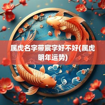 属虎名字带宸字好不好(属虎明年运势)