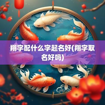 翔字配什么字起名好(翔字取名好吗)
