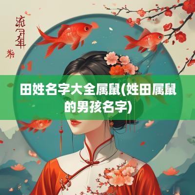 田姓名字大全属鼠(姓田属鼠的男孩名字)