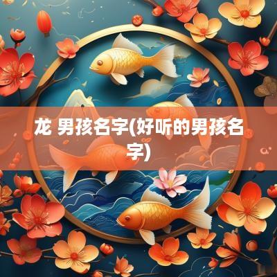 龙 男孩名字(好听的男孩名字)