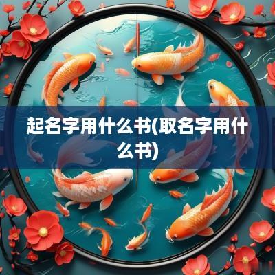 起名字用什么书(取名字用什么书)