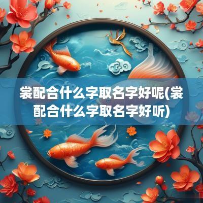 裳配合什么字取名字好呢(裳配合什么字取名字好听)