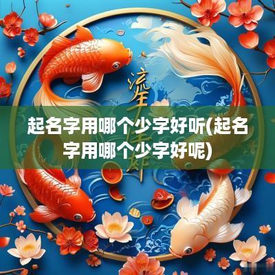 起名字用哪个少字好听(起名字用哪个少字好呢)