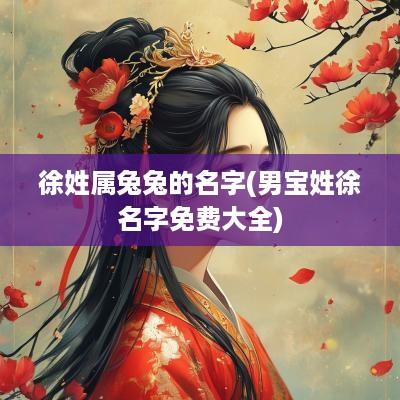 徐姓属兔兔的名字(男宝姓徐名字免费大全)