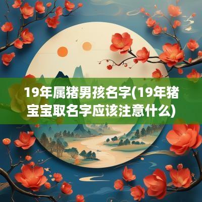 19年属猪男孩名字(19年猪宝宝取名字应该注意什么)