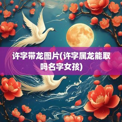 许字带龙图片(许字属龙能取吗名字女孩)