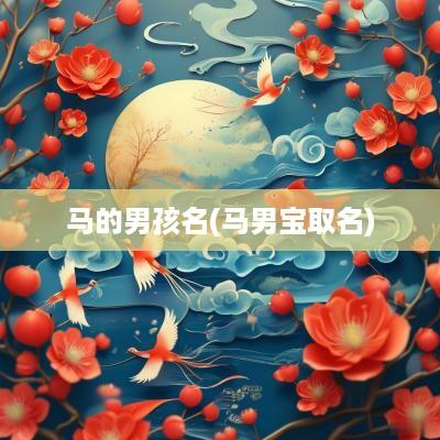 马的男孩名(马男宝取名)