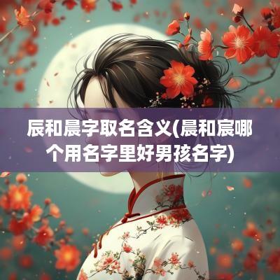 辰和晨字取名含义(晨和宸哪个用名字里好男孩名字)