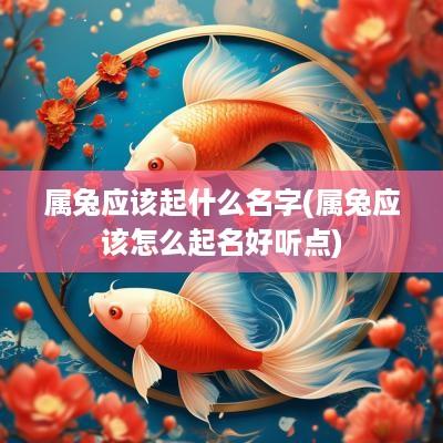属兔应该起什么名字(属兔应该怎么起名好听点)