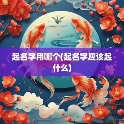 起名字用哪个(起名字应该起什么)