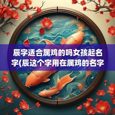 辰字适合属鸡的吗女孩起名字(辰这个字用在属鸡的名字里好吗)