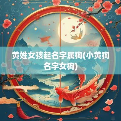 黄姓女孩起名字属狗(小黄狗名字女狗)