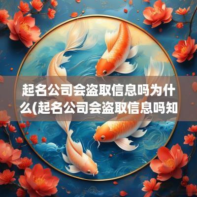 起名公司会盗取信息吗为什么(起名公司会盗取信息吗知乎)