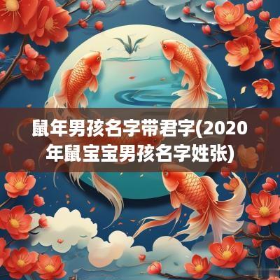 蛇年男孩名字带君字(2025年鼠宝宝男孩名字姓张)